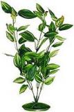 Rostlina APS 103 - 30 cm