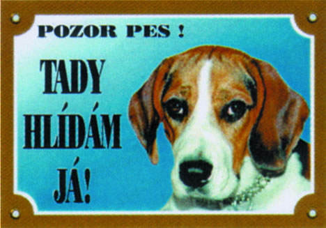 Bígl