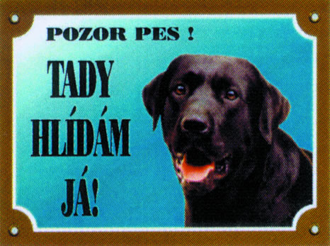 Labradorský retriever černý