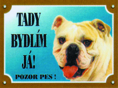 Buldok anglický