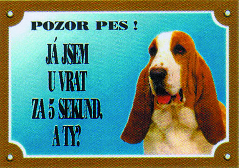 Baset