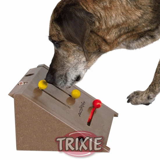 Dog Activity KICKER 26x15x24cm