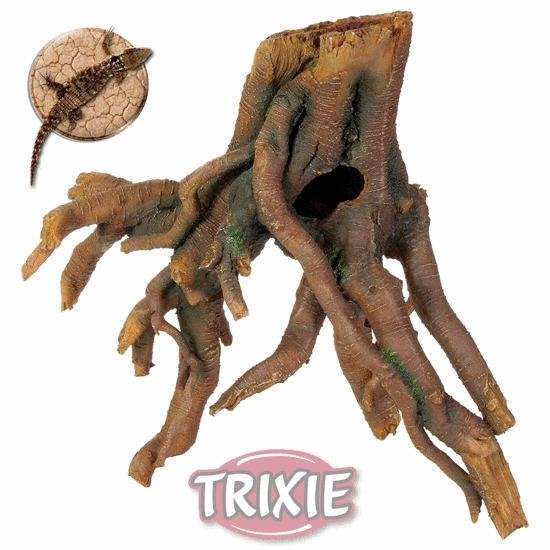 Mangrovníkový pařez 42 cm
