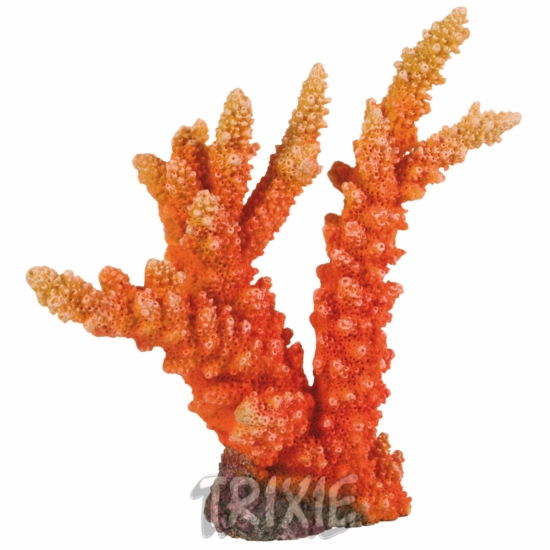 Špičatý korál 18 cm TRIXIE