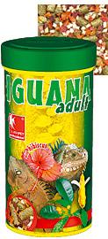 DAJANA IGUANA adult 1000ml