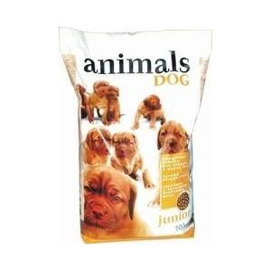 Animals dog JUNIOR        10kg