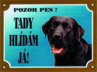 Labradorský retriever černý