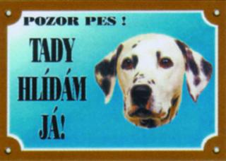 Dalmatin