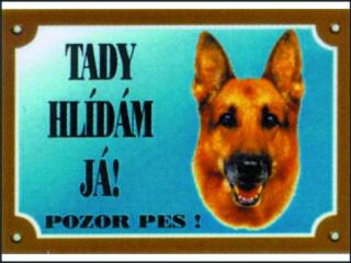 Německý ovčák zepředu