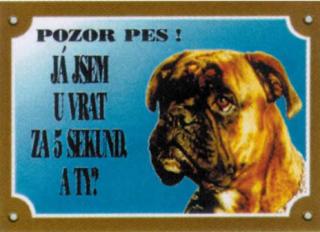 Boxer německý