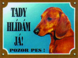 Jezevčík hladkosrstý