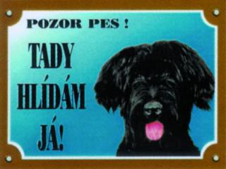 Briard černý