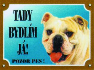 Buldok anglický