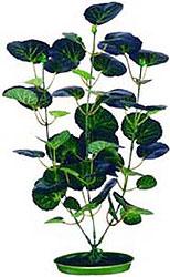 Rostlina APS 111 - 30 cm