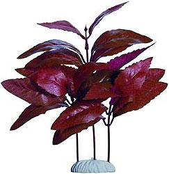 Rostlina APS 004 - 20 cm