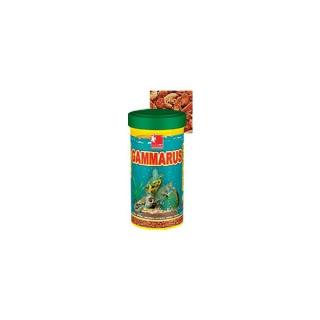 DAJANA GAMMARUS - zlatý   500ml
