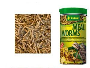 Tropical Meal Worms 100ml 