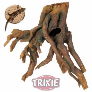 Mangrovníkový pařez 42 cm