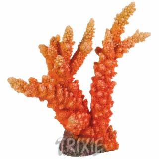 Špičatý korál 18 cm TRIXIE