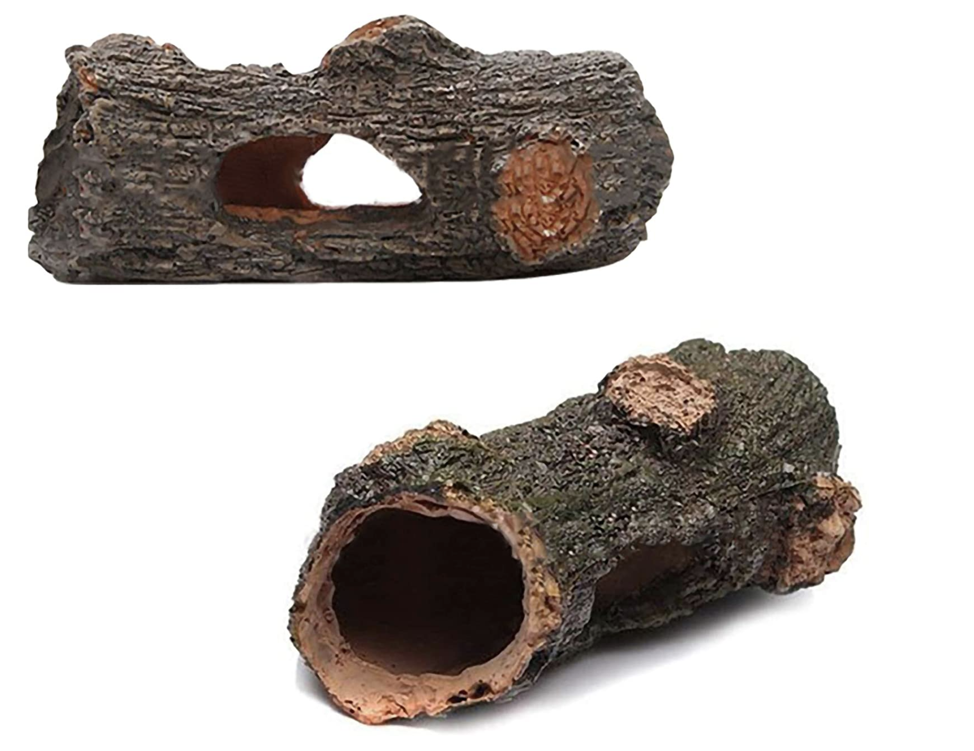 Akvarijní kmen dutý - velikost L