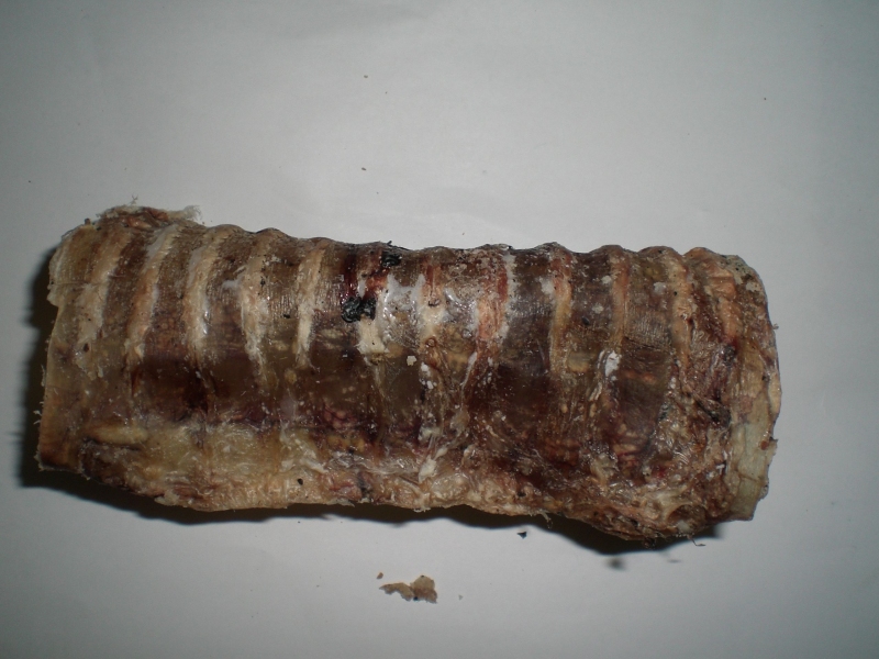 Hovězí trachea 13cm - balení 10ks