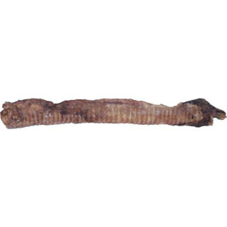 Hovězí trachea sušená 1kg
