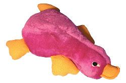 Kachna fialová