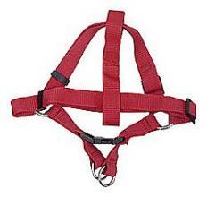 Postroj nylon se sponou L 80 cm