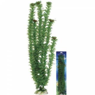 Rostlina UH M036 - 50 cm
