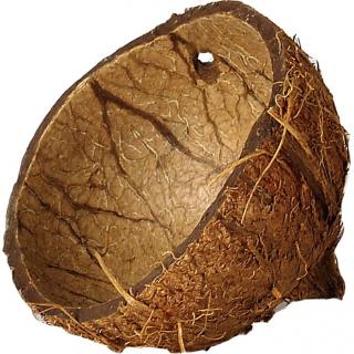 Coco skořápka - dekorace
